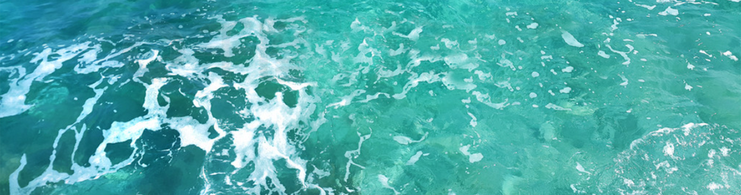 Pure Ocean