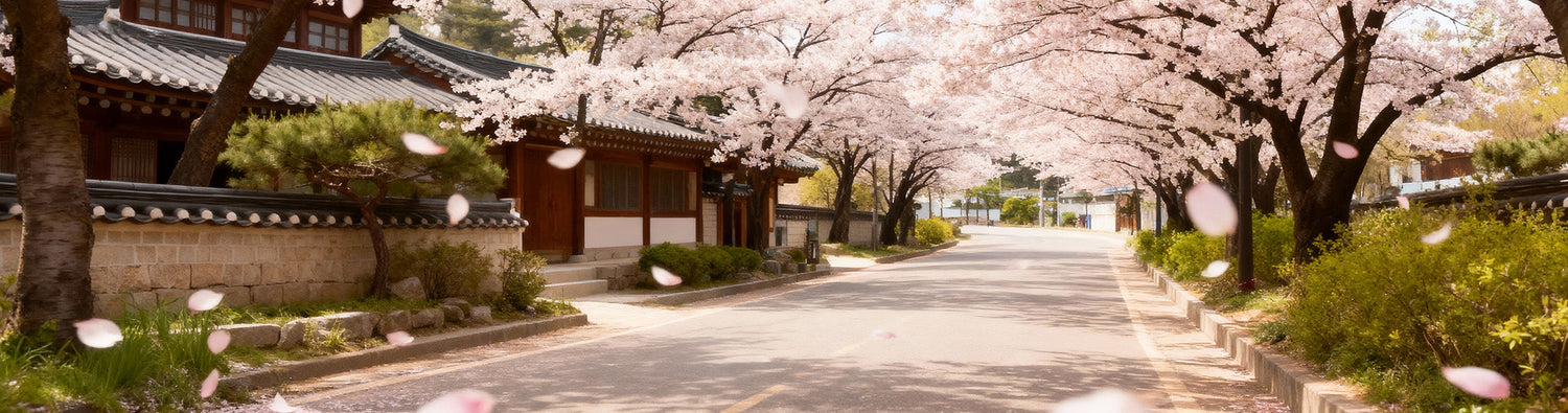Seoul Blossom