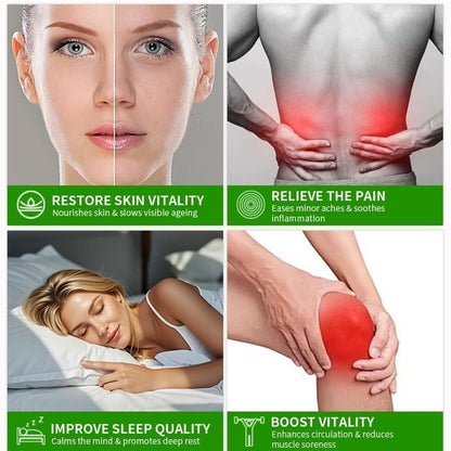 Veloona Buy 3 Wangian Percuma Azenra Diffuser Rumah Mewangi Essential Oil  Aromatherapy Diffuser Humidifier (White)