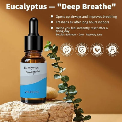 VELOONA Buy 2 Free 2  [220ML Mini Diffuser + Premium Essential Oil] | Clear Mind, Calm Mood & Daily Relaxation | Essential Oil Aromatherapy Anti-Stress Starter Value Package